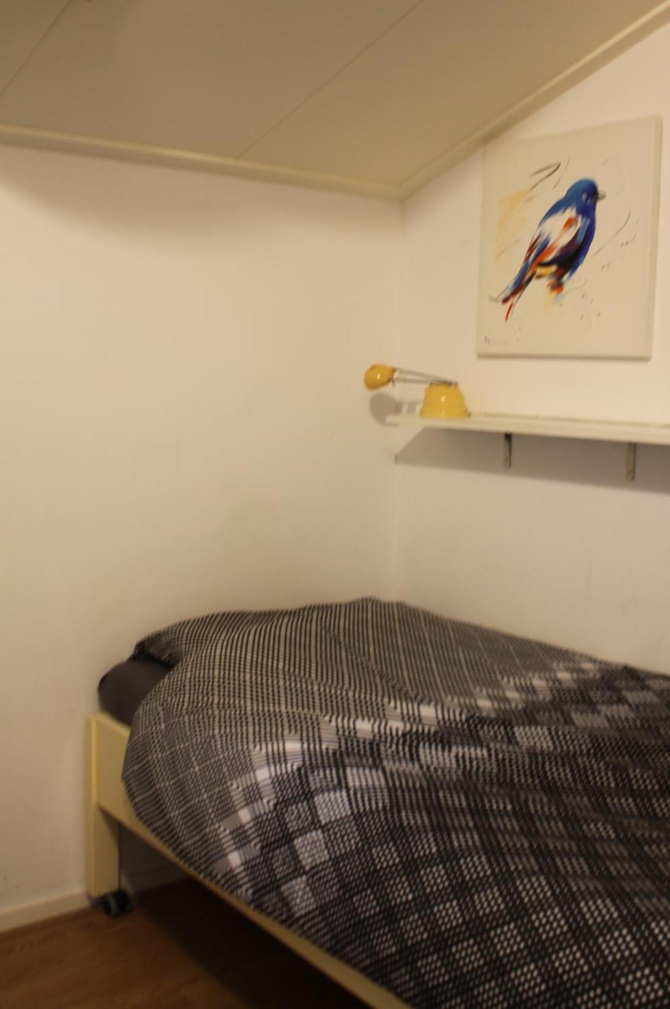 Boerenkiel Vakantiehuisjes De Kiel Екстер'єр фото